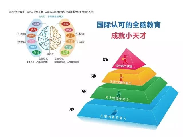 东方爱婴全脑课-挖掘孩子的潜能,让孩子赢在未来!