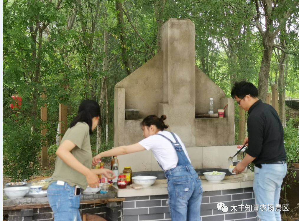 端午节的正确打开方式丨来知青农场土灶野炊,休闲放"粽"意!