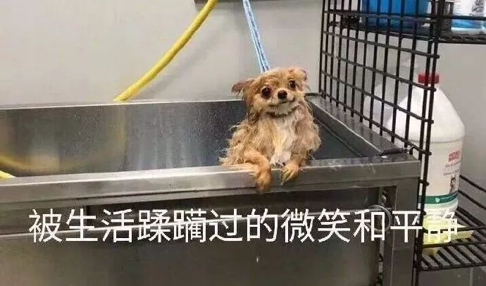 c1433b3b4b6745c1a1e528a21f0f00e6.jpeg