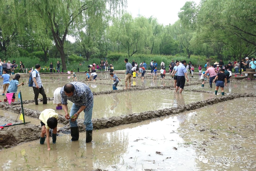 《清代畅春园复原及理法探析(朱强,李东宸,郭灿灿,姜骄桐)3.