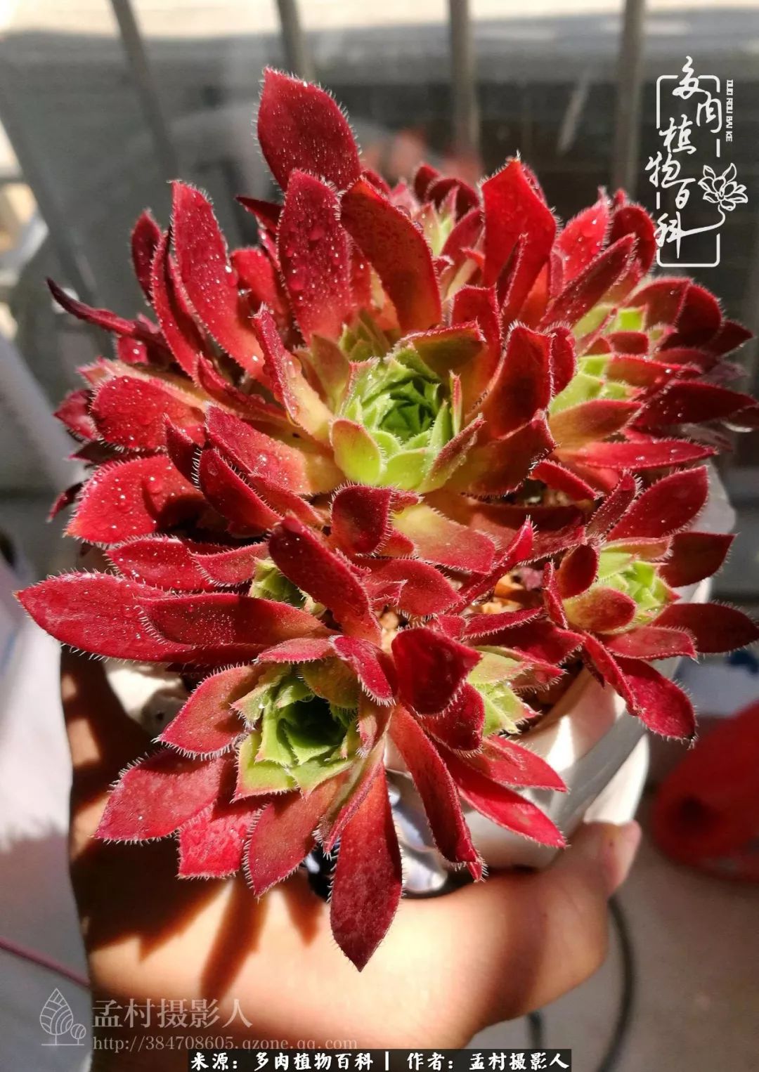 扫地机轮胎供应商_金永鑫电子_订做_耐高温_耐水_定做_橡胶