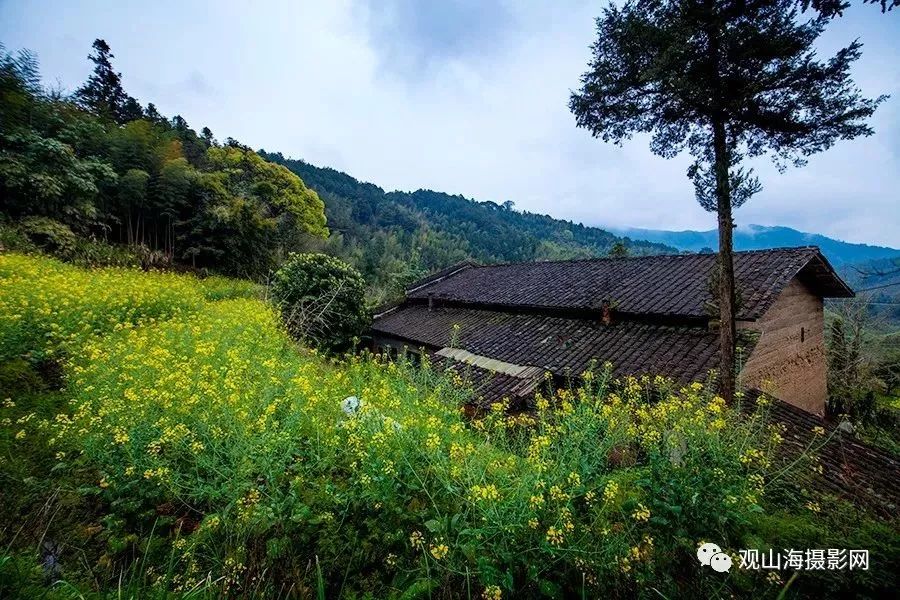 2019福建最美乡村入围推介延平南山镇后溪村