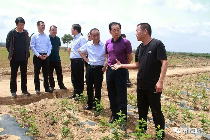 壮大经济总量 促进农民增收_农民卡通图片