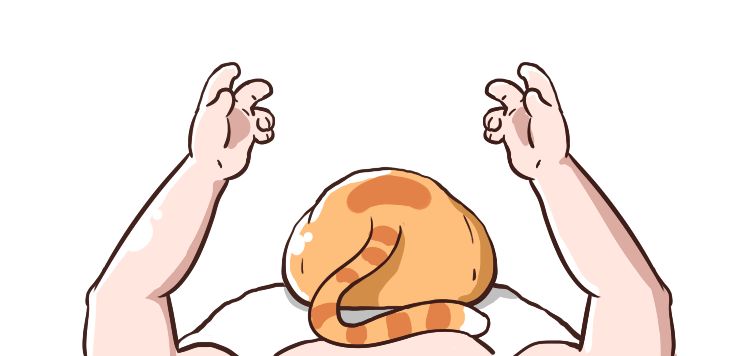 和猫一起睡觉,真的很爽吗?