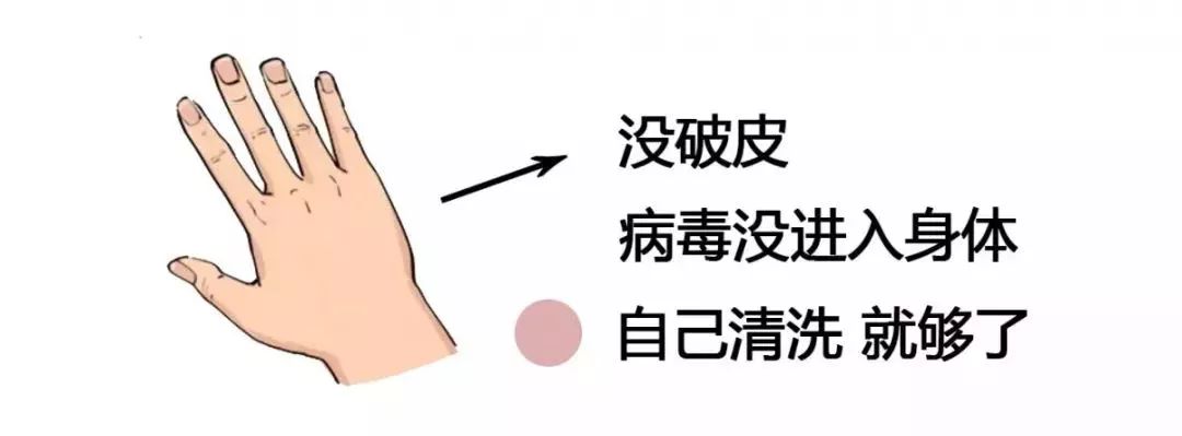 来自搜狐网