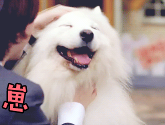 冲刺高考!还好我有志玲姐姐和这套沙雕表情包