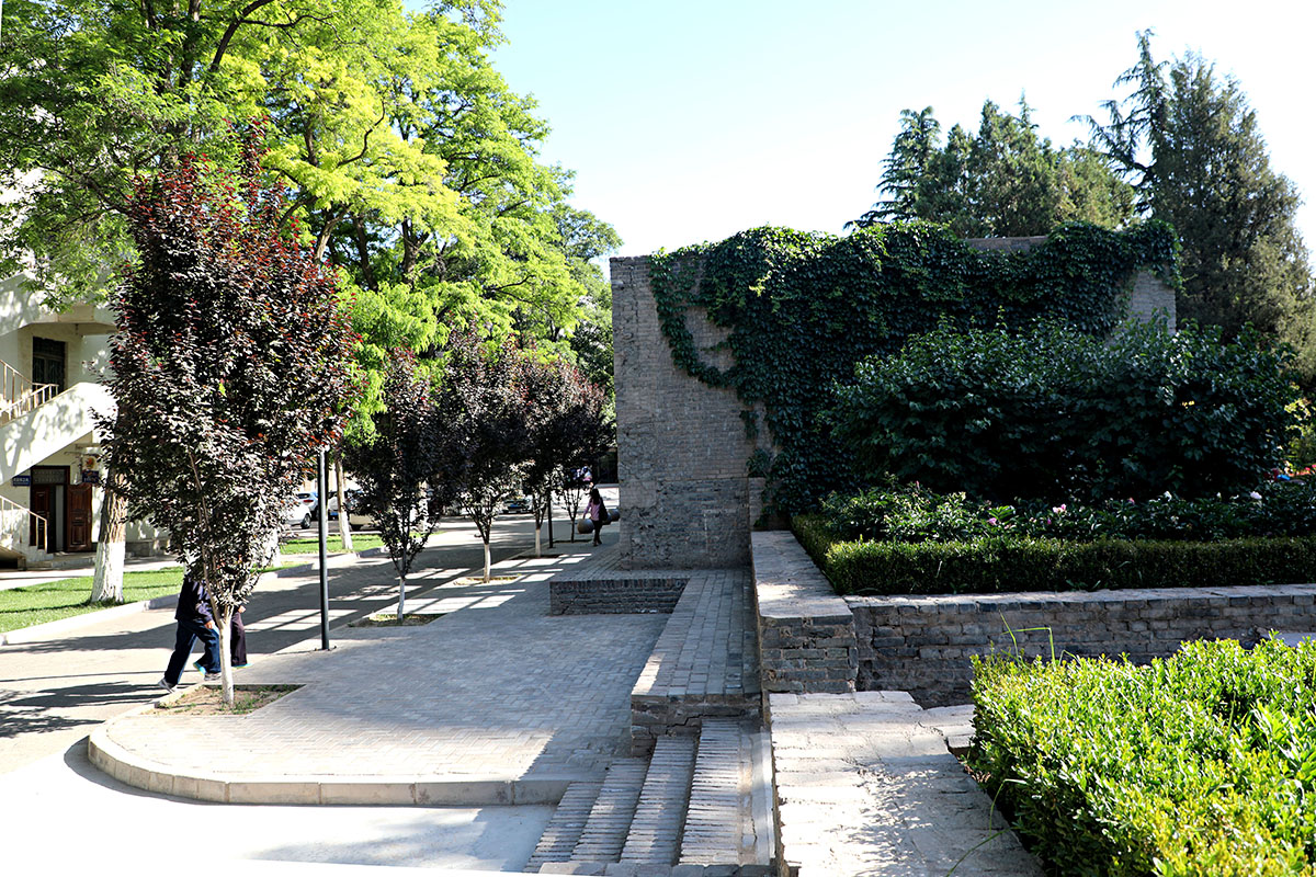 西北师范大学老校区印象记