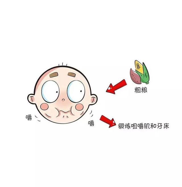                     原创            宝宝吃点粗粮对牙齿有帮助哦