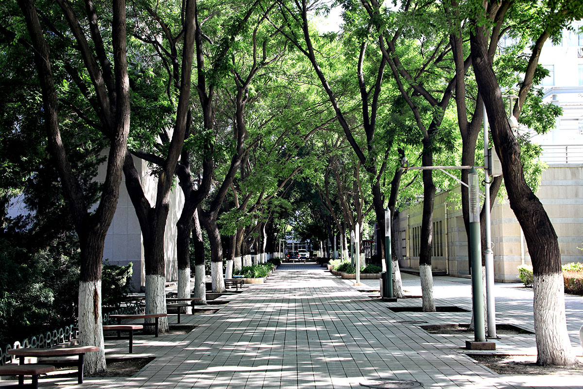 西北师范大学老校区印象记