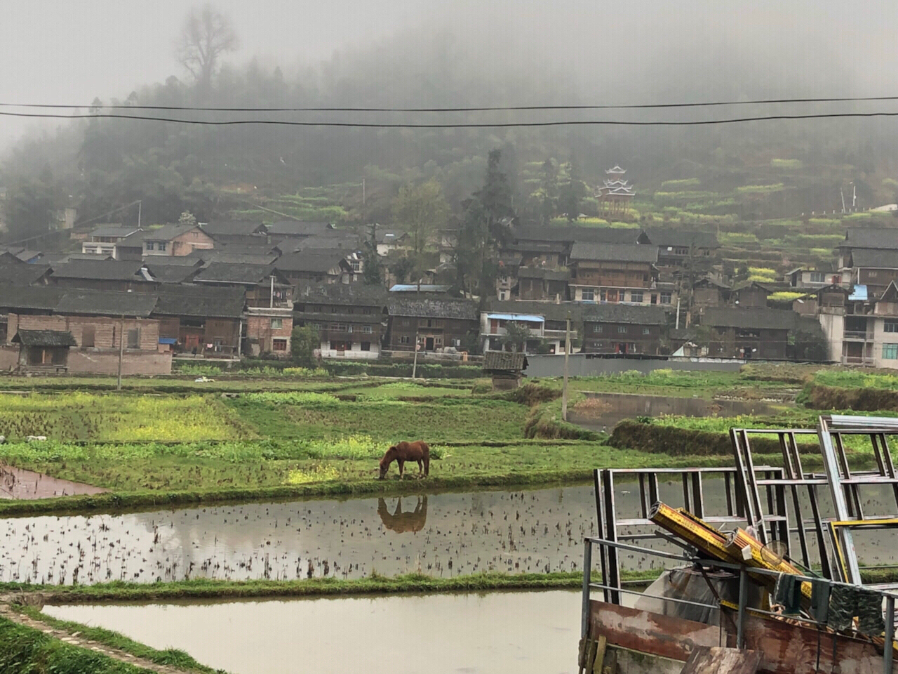 龙塘村人口_吴川市樟铺镇龙塘村(3)