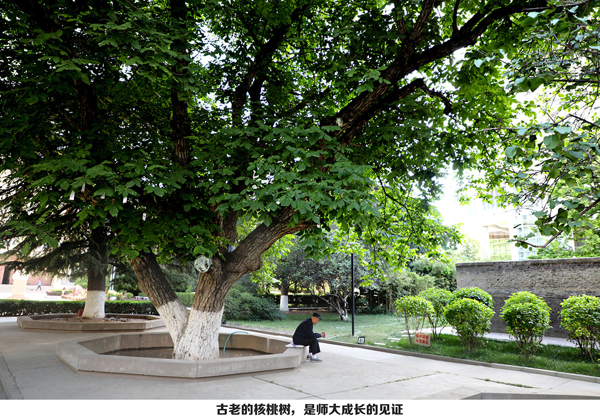 西北师范大学老校区印象记