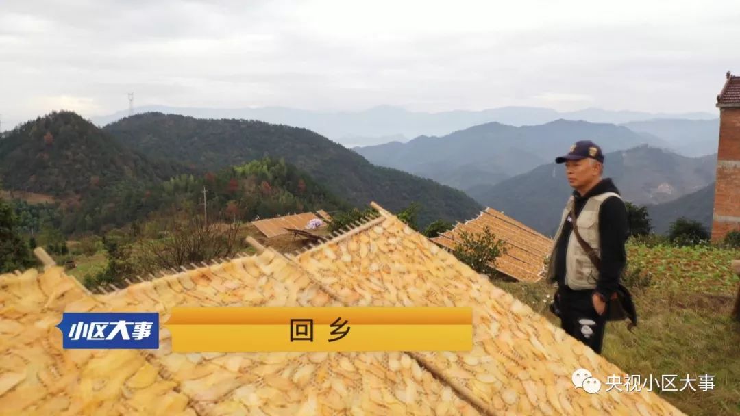 今晚22点!CCTV-12《小区大事》看缙云民宿里