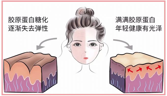 一天什么时候吃东西不胖 24e754256b9d46f4a5e20fb415c90db5.jpeg