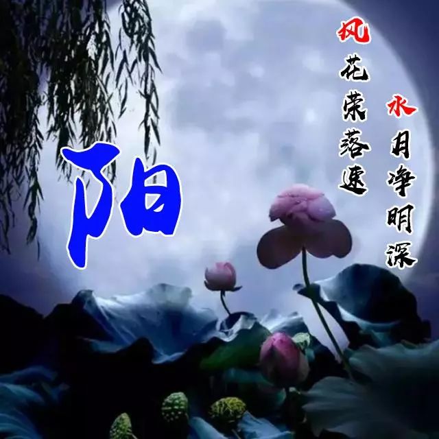 百家姓微信头像