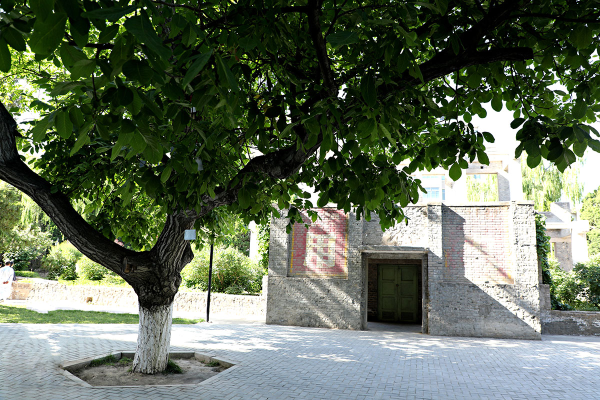 西北师范大学老校区印象记