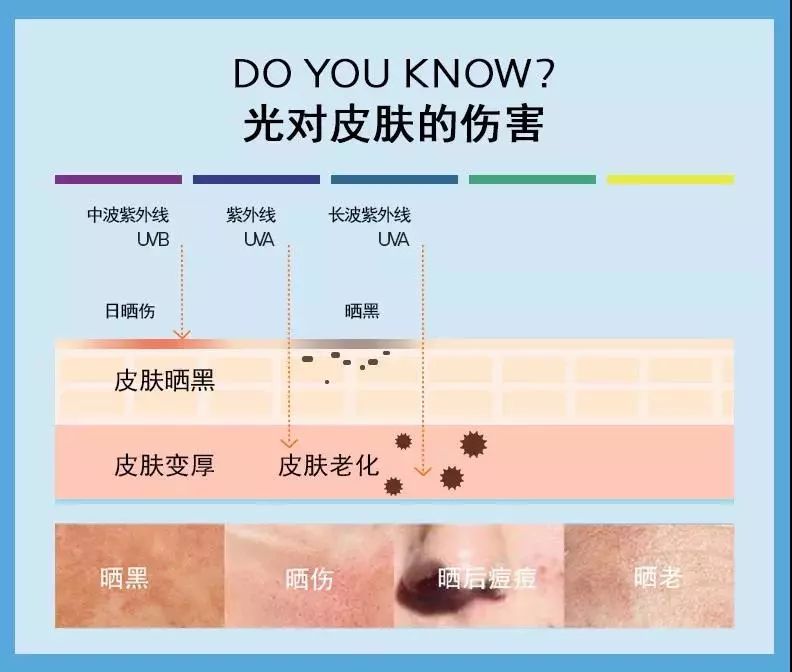 紫外线照射在皮肤上会破坏其胶原蛋白和弹性纤维, 加速皮肤老化!