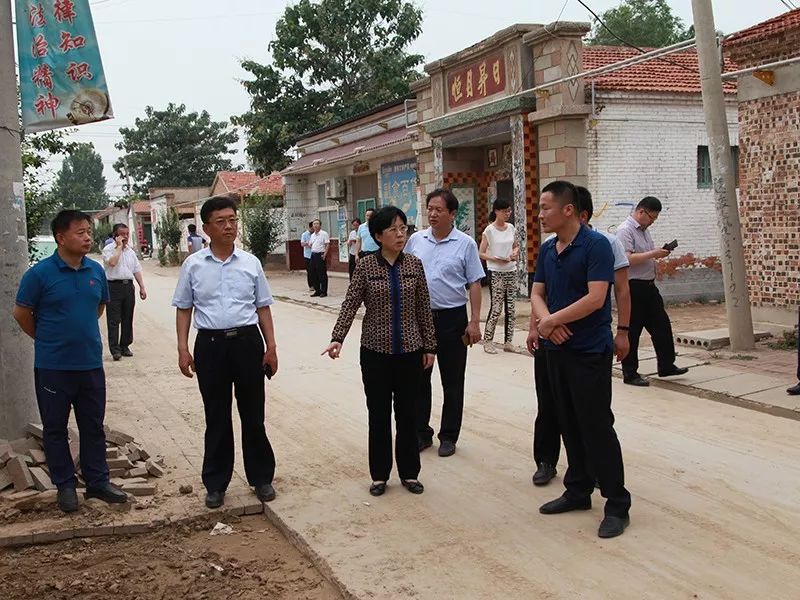 临清市委副书记,市长祁学兰祁学兰督导"三夏"生产和农村人居环境整治