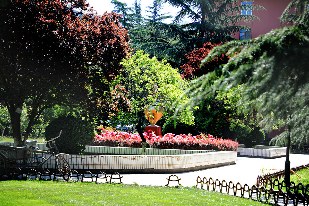 西北师范大学老校区印象记