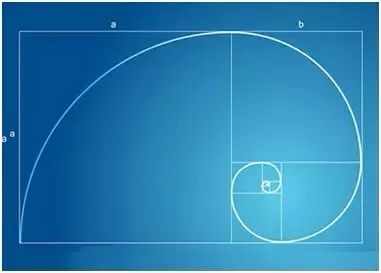 斐波那契螺旋线,即黄金螺旋线.