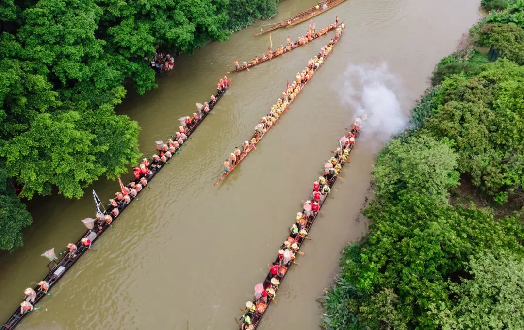 海珠湿地将举办 一年一度的传统文化盛事—龙船景,广州数百条村的