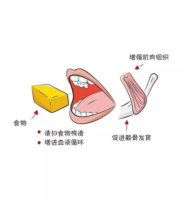                     原创            宝宝吃点粗粮对牙齿有帮助哦
