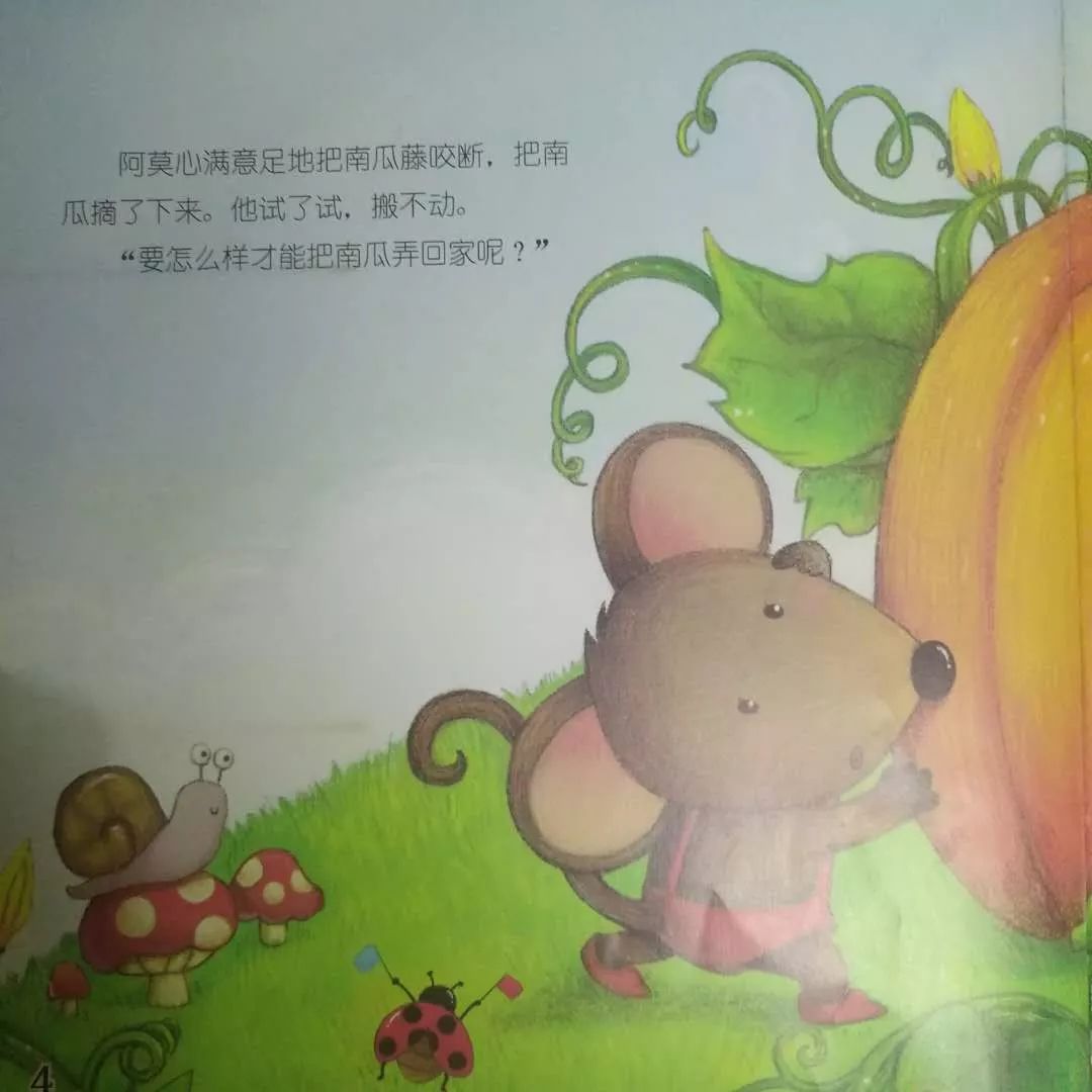 pongo睡前故事小老鼠阿莫与他的南瓜的故事