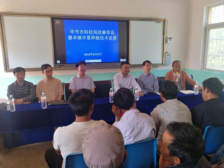 毕节市科技局赴赫章县德卓镇调研半夏产业发展