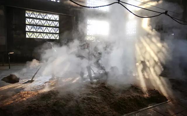 酿酒技术:纯粮食酒酿造过程