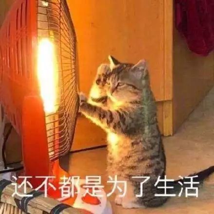 a782c81946374624addf7abb1f6b0d8c.jpeg