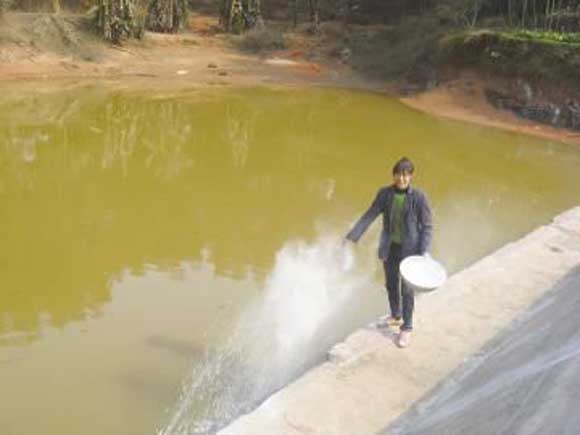 怎么养鱼才会更好 be45101e2e2c4b0c97ce784708fb88d6.jpeg