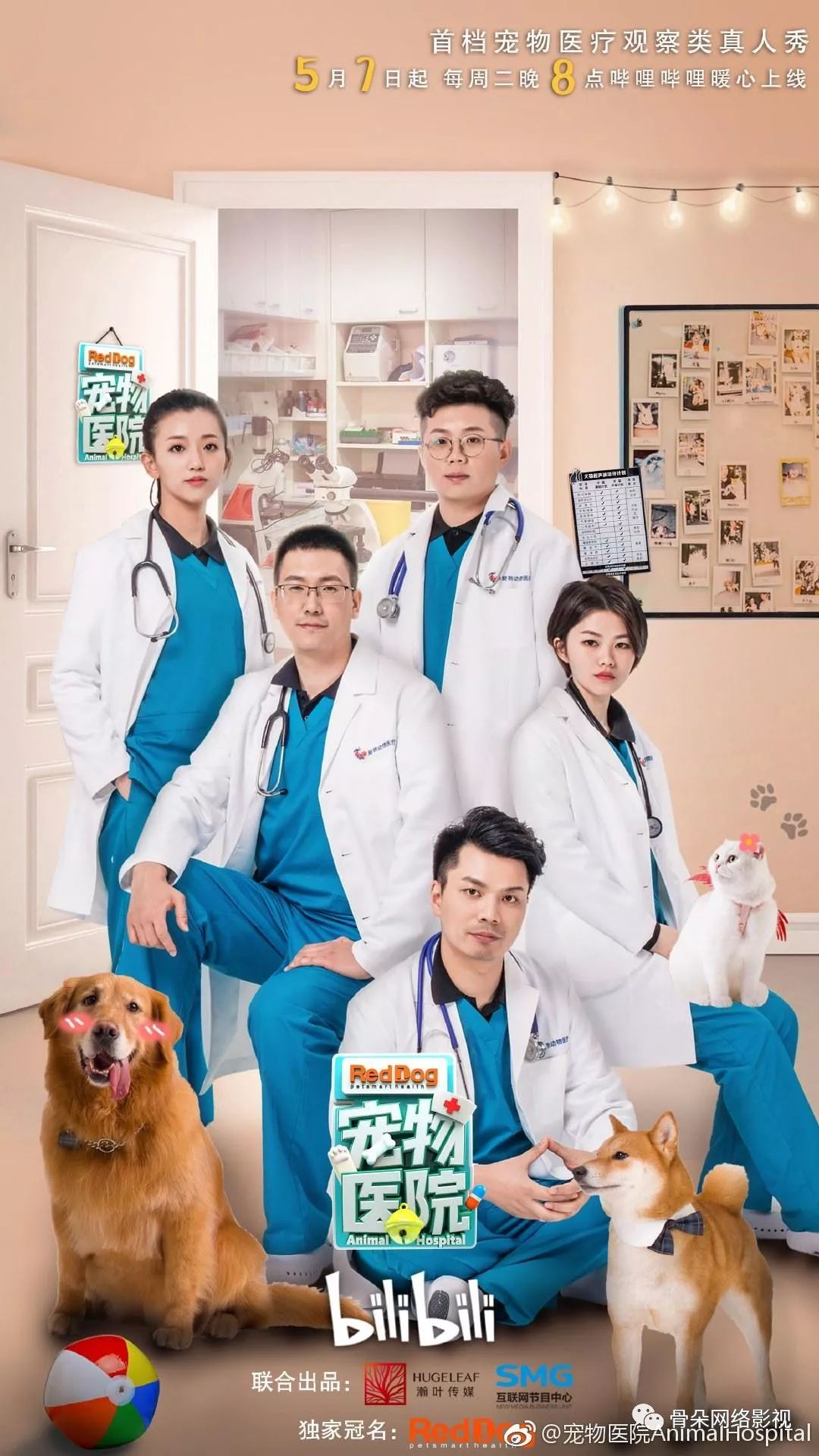 首檔寵物+醫療真人秀：寵物類綜藝不止賣萌丨《寵物病院》專訪 寵物 第1張