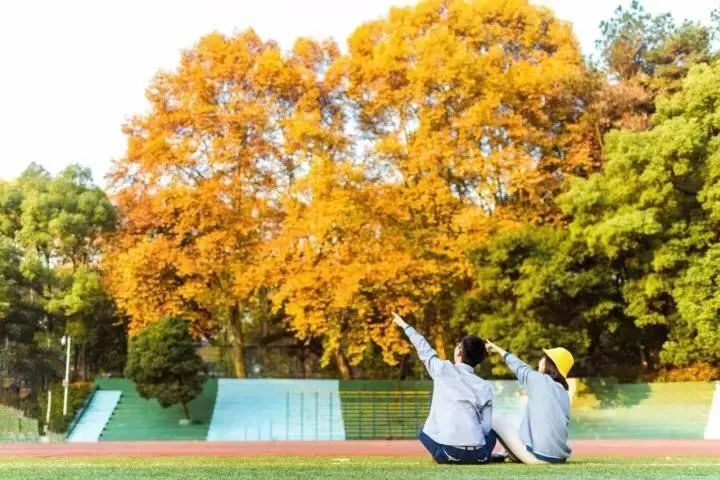 在文化公书林的肃穆中 华中师范大学2019年 全日制普通本科招生章程
