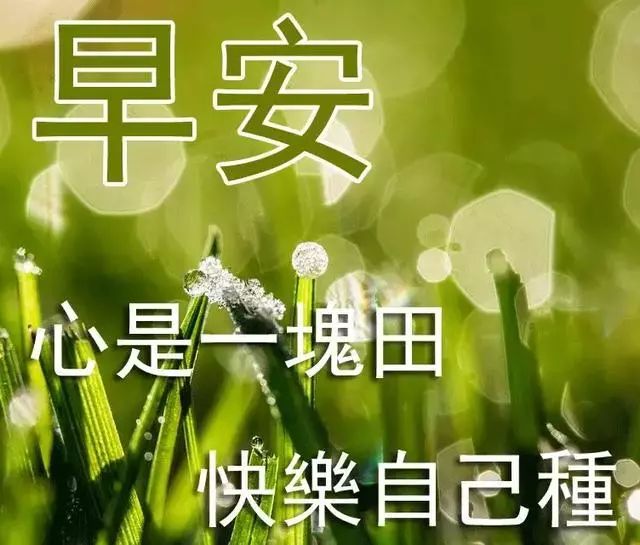 周六清晨暖心的早安问候祝福语动态图片