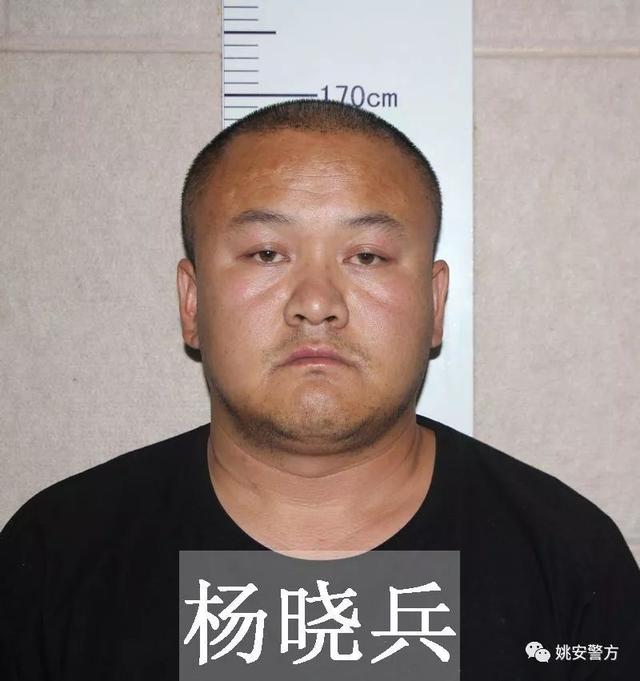 8人被刑事拘留,楚雄姚安打掉一恶势力团伙,征集违法犯罪线索