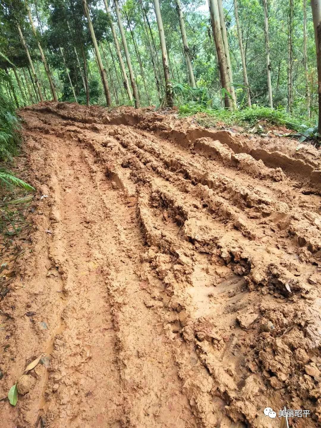 见过烂路但没见过昭平这个村这种烂泥巴路