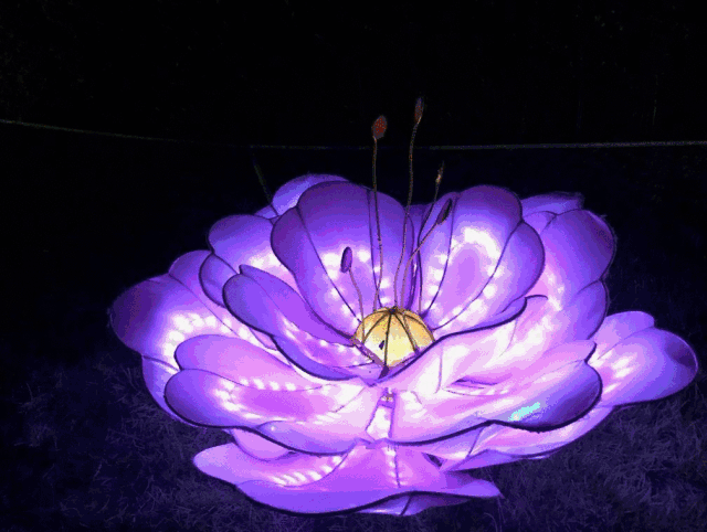 端午:这个京西小众避暑小镇,文青宝妈为什么这么爱?