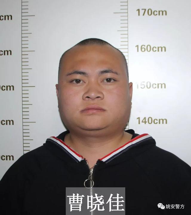 8人被刑事拘留,楚雄姚安打掉一恶势力团伙,征集违法犯罪线索