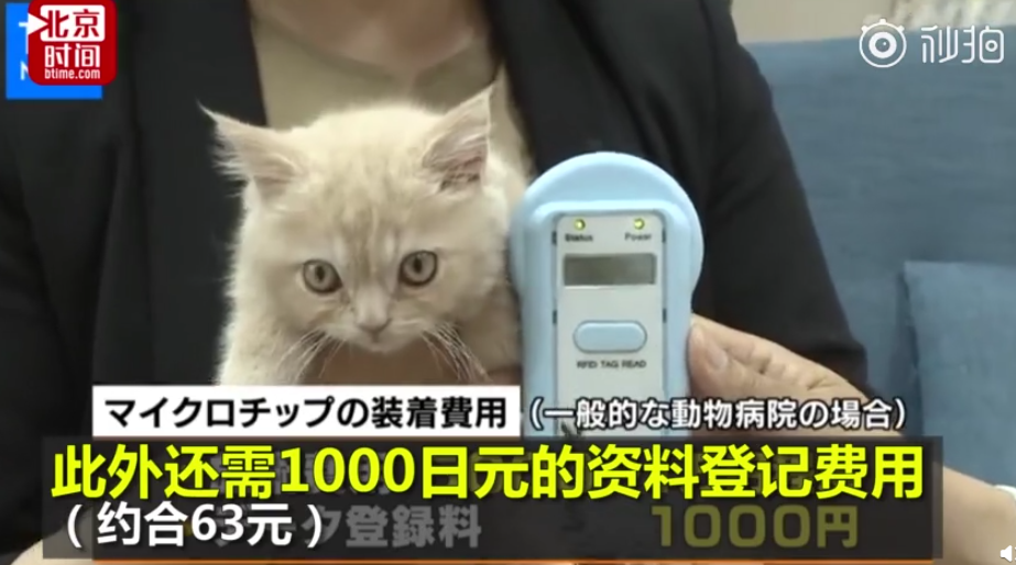 #日本劃定寵物需植進晶片#  防止飼主拋棄凌虐 違者最長禁錮4年 寵物 第6張
