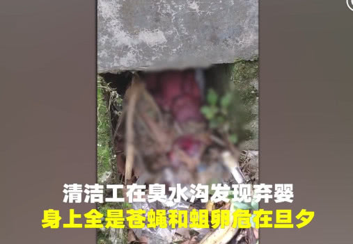                     刚出生的婴儿被弃臭水沟，清洁工发现时已危在旦夕满是苍蝇蛆卵