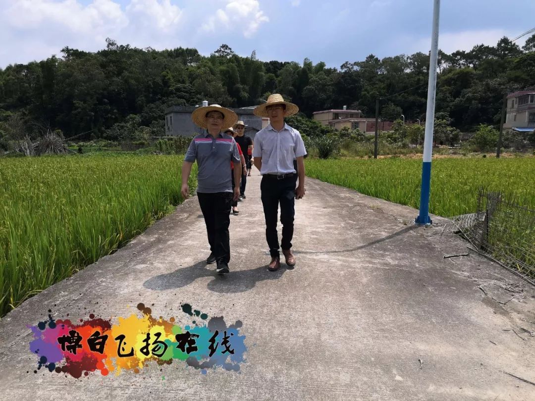 昨天博白大垌这群人在凤坪村整治脏乱差