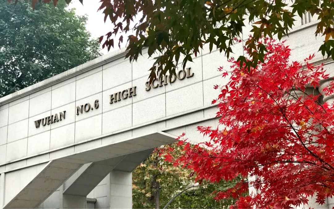 武汉民办国际高中(武汉国际高中有哪些)
