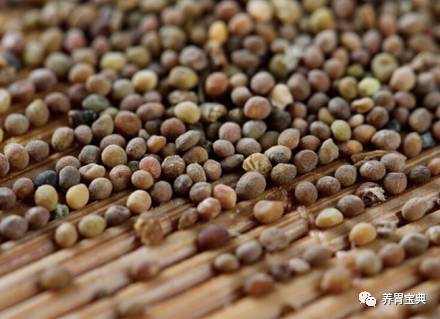 沙参麦冬玉竹的功效与作用 1f2afdb8242f43df84dcc99208f51db9.jpeg