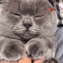20656bd9ff304796a93b50bfbfd4f34c.gif