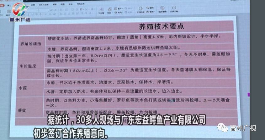 高州市最新人口统计_1月8日舆情日报 袁裕来控诉遭青岛市南法院诬陷(2)