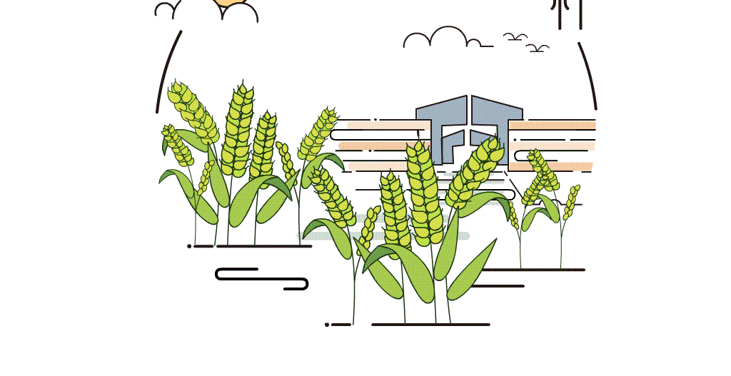 芒种|你该知道的麦收防火知识