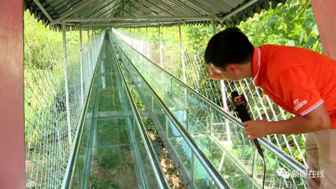 广西多名游客冲破玻璃滑道护栏掉下山坡,1死6伤