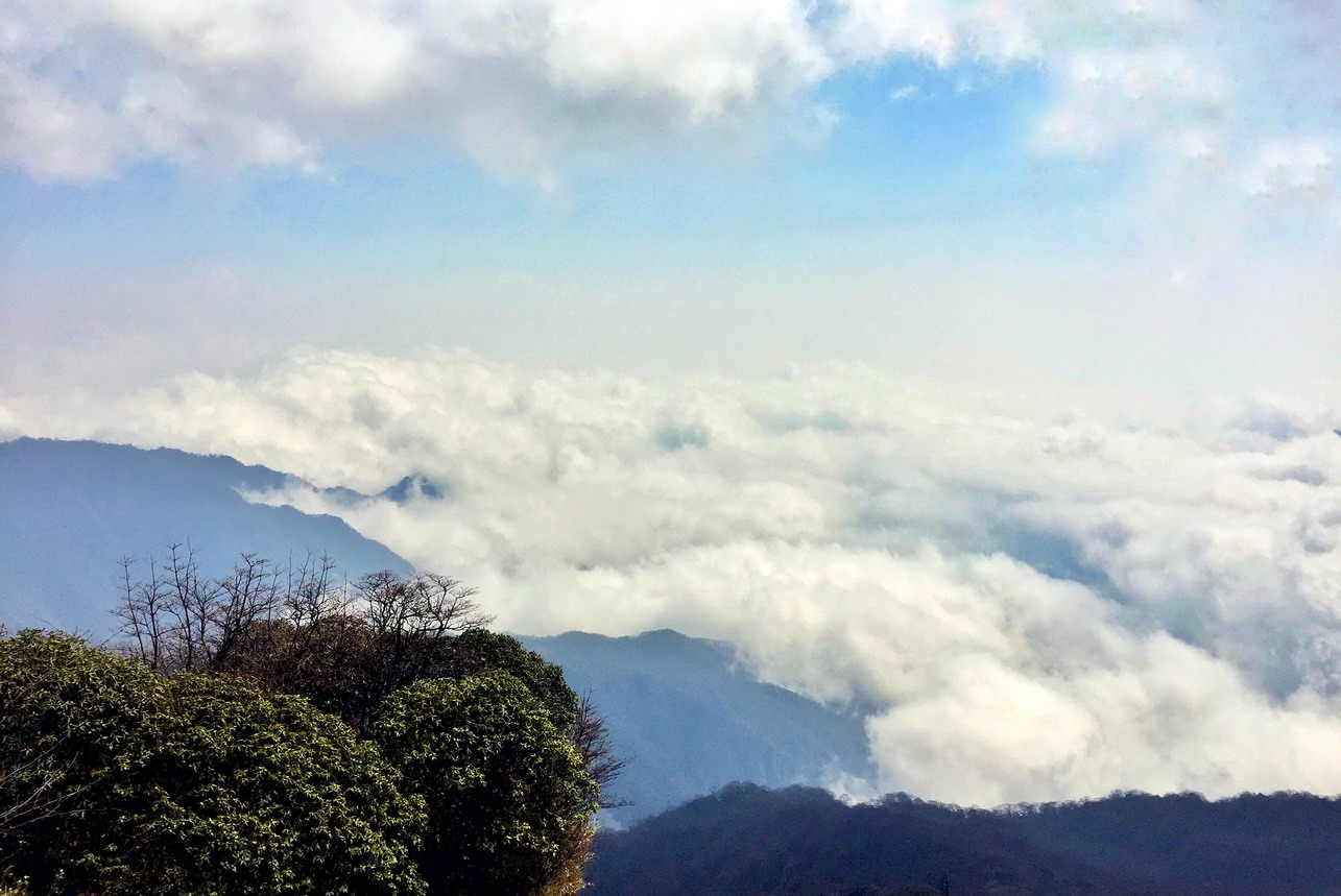 通往佛國的天梯，限人攀緣的天空之城，秒變網紅景點 旅遊 第3張