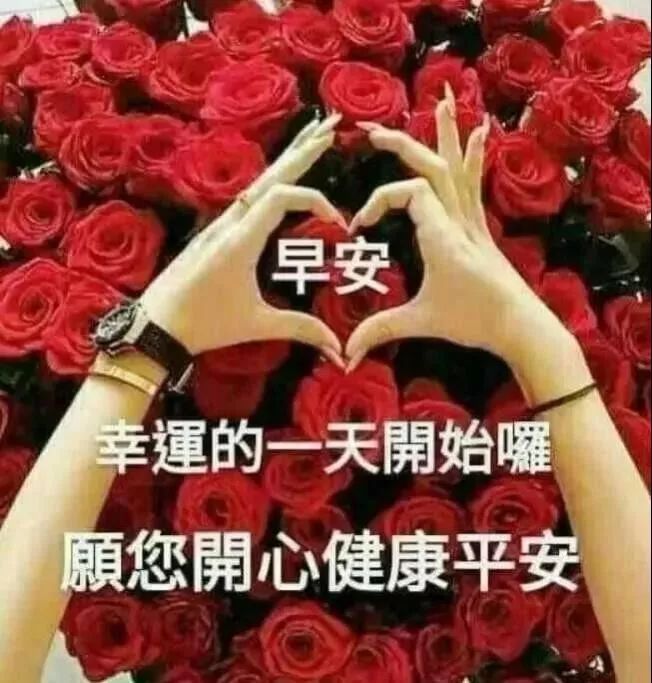 特漂亮的早上好动态表情图片分享 最美早晨好问候表情