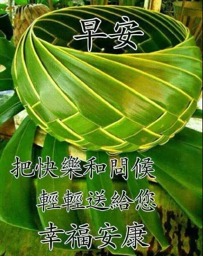 622fa38a8bca437e9207cab0ae6a5e84.jpeg