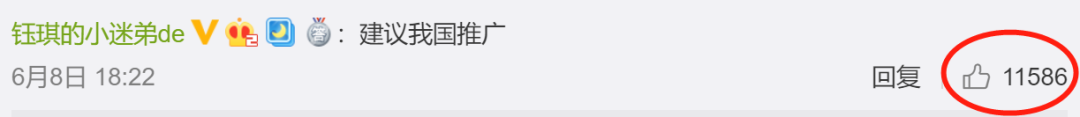 日本的这项动保新规，引国内网友热议：强烈建议我国推广！